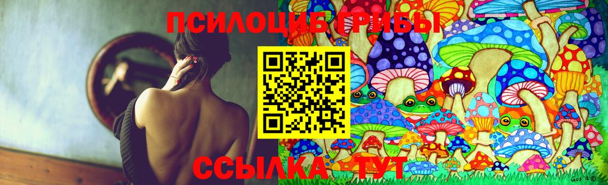 Псилоцибиновые грибы GOLDEN TEACHER Мурино