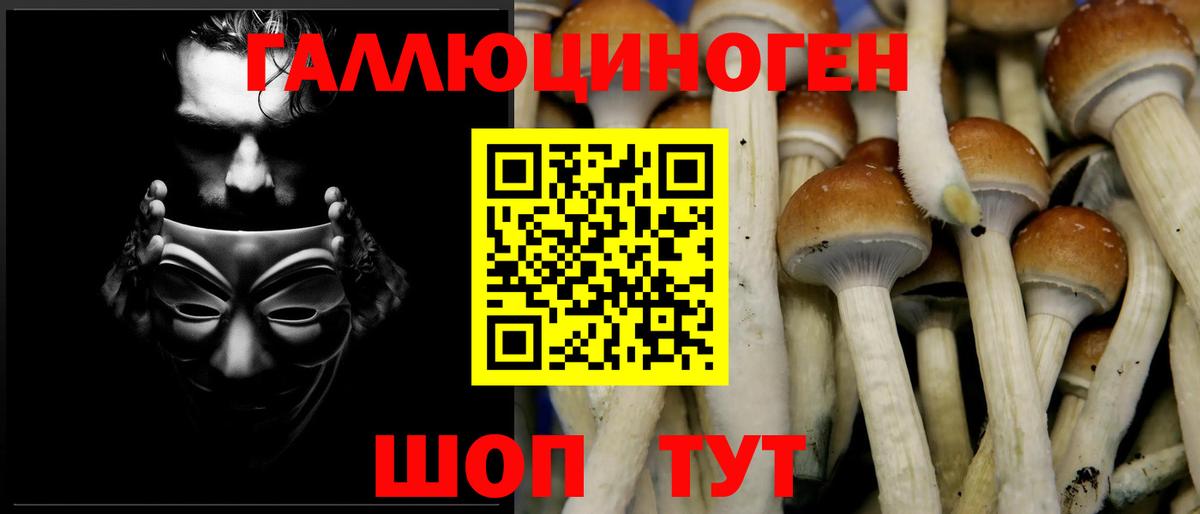 Галлюциногенные грибы Psilocybine cubensis  Псилоцибиновые грибы Psilocybine cubensis  Вход с VPN  Мурино 
